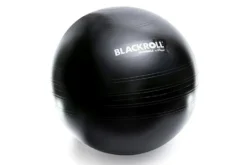 Blackroll Gymbal - Fitnessbal - Zwart - 65 cm