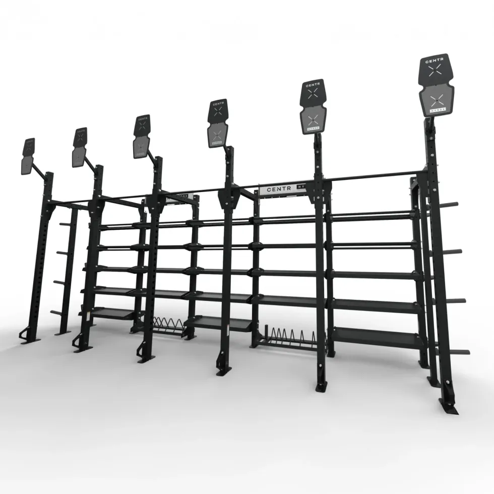 Centr x HYROX Perform Rig - 6 Targets