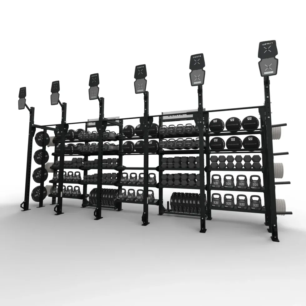 Centr x HYROX Perform Rig - 6 Targets
