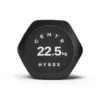 Centr x Hyrox Urethane Hexagon Dumbbell - 22,5 kg