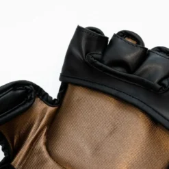 Everlast Titan MMA Handschoenen - Zwart