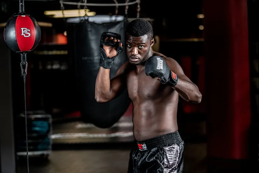 Gorilla Wear Ely MMA Bokshandschoenen - Zwart/Wit