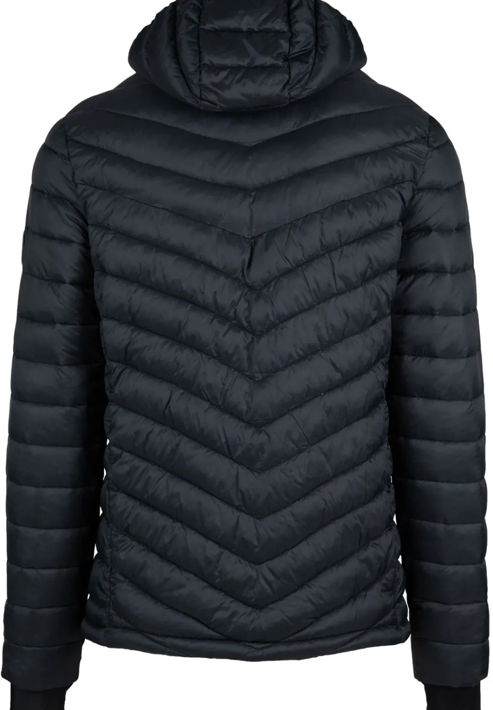 Gorilla Wear Osborn Puffer Jas - Zwart
