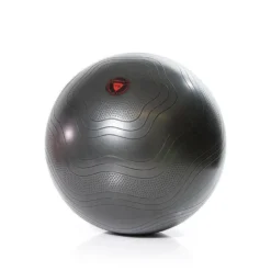 Gymstick Burst Resistant Gymbal - Fitnessbal - Met Online Trainingsvideo's - 65 cm
