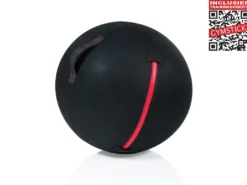 Gymstick Office Ball - 65 cm - Met Online Trainingsvideo's