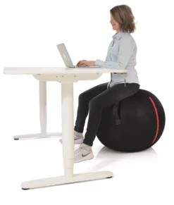 Gymstick Office Ball - 75 cm - Met Online Trainingsvideo's