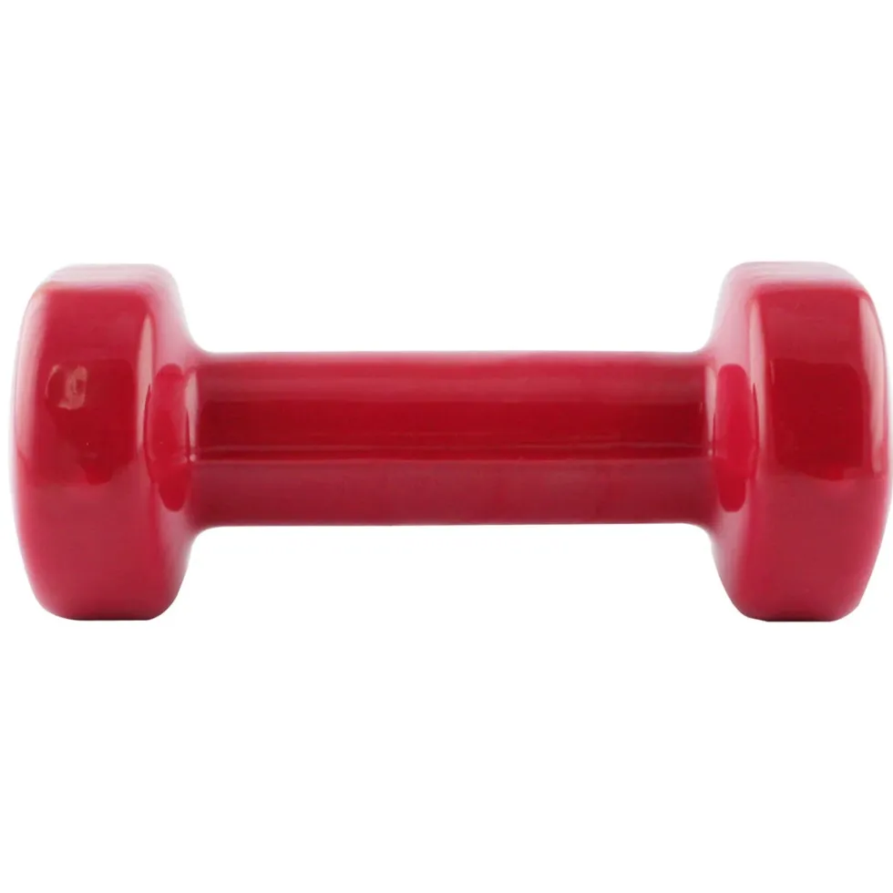 HMS Gietijzeren Dumbbell met Vinyl Coating - 2 kg