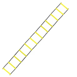 HMS Premium Speed Ladder - 6 meter