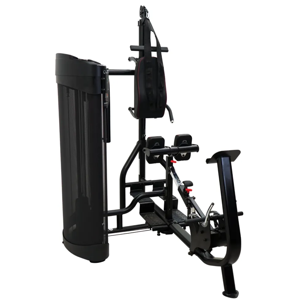 Inspire DUAL Krachtstation Buik + Rug