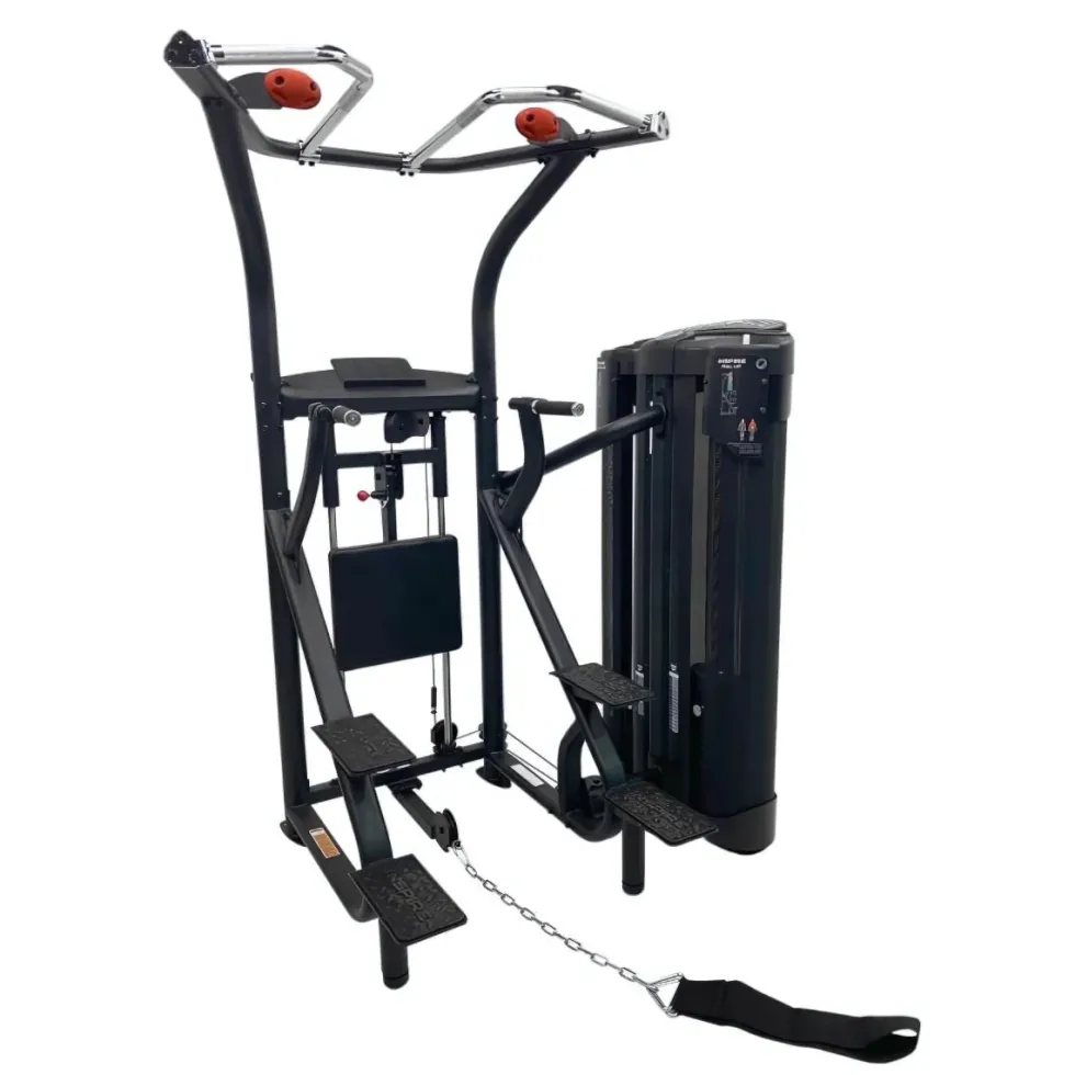 Inspire DUAL Station Chin Up