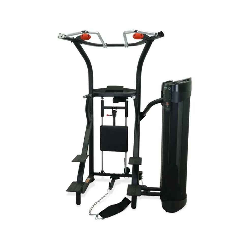 Inspire DUAL Station Chin Up