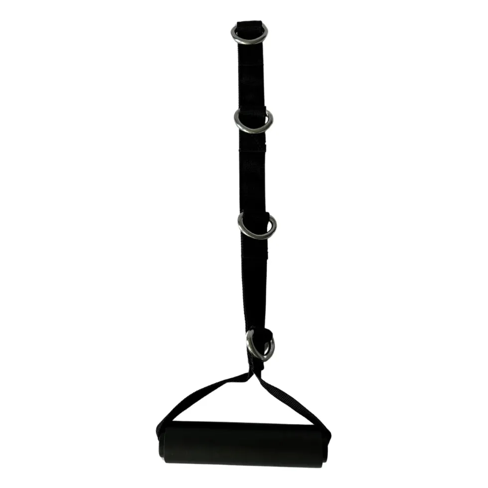 Inspire Multi Ring Grip D-Handle