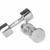 Lifemaxx Chroom Dumbbell - Set van 2