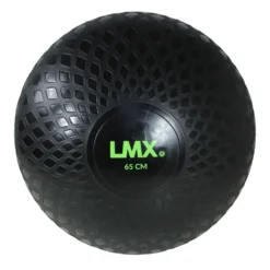 Lifemaxx LMX Gymball Pro 65 cm