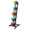 Lifemaxx LMX Medicijnballen Opbergrek - Voor 5 Medicineballen