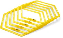 SKLZ Speed Web