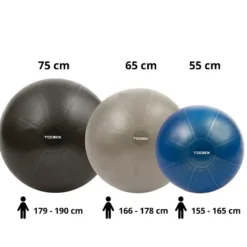 Toorx Fitnessbal Gymbal PRO Blauw - 55 cm