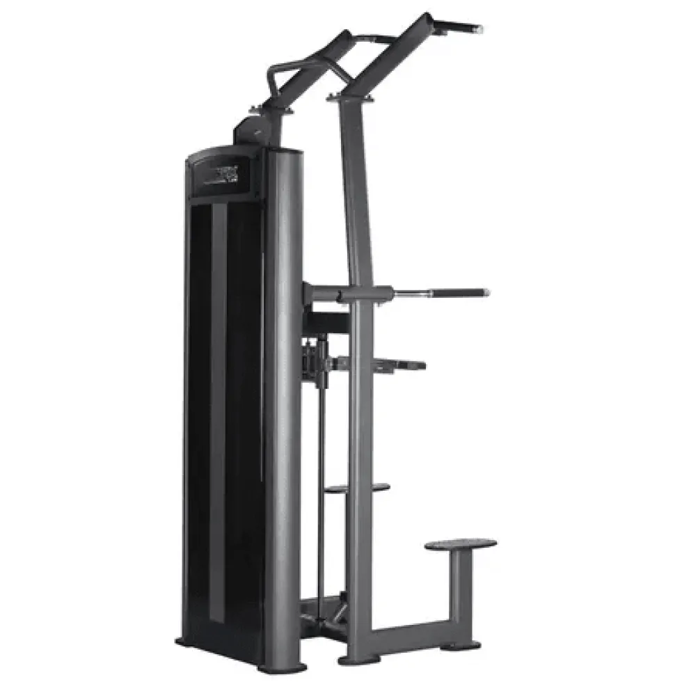 Toorx Professional Assisted Pull Up / Chin Up / Dip PLX-6350