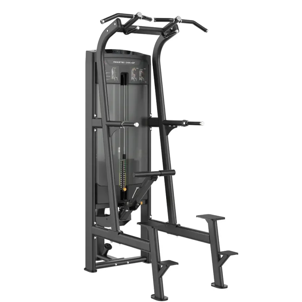 Toorx Professional Assisted Pull-up / Dip PLX-8400