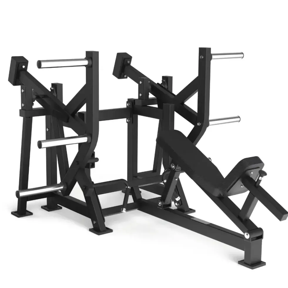 Toorx Professional Avant Lower Back FWX-6900