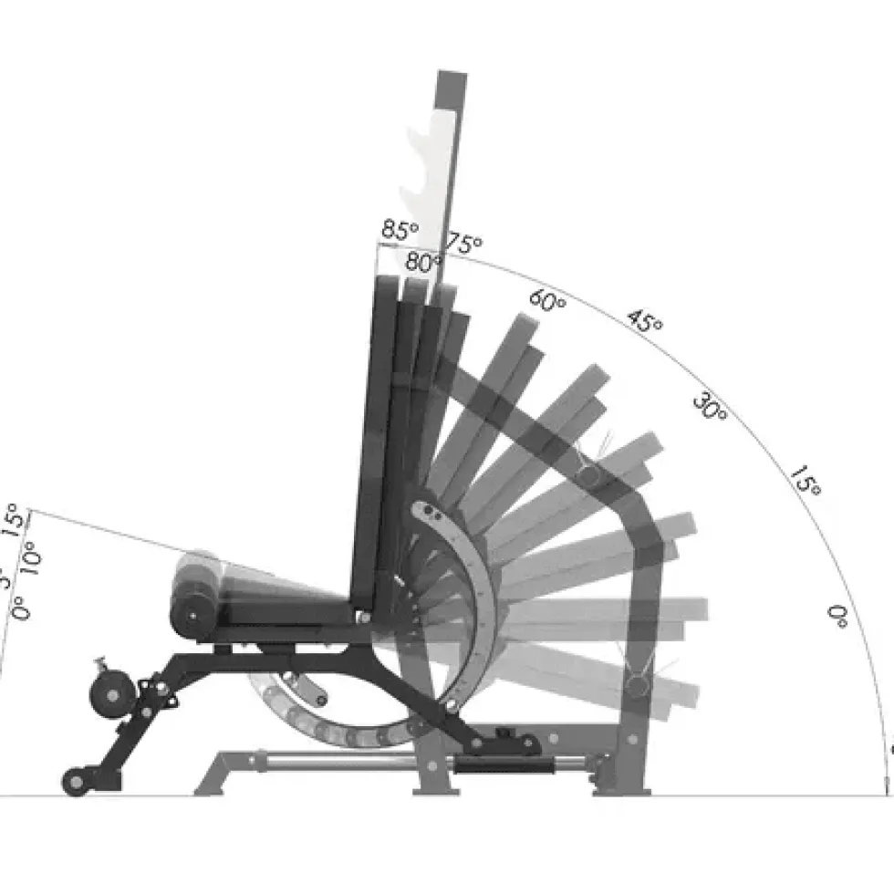 Toorx Professional Olympische Halterbank WBX-3900 - Verstelbaar