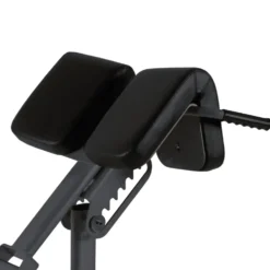 Toorx Professional WBX-B2600 Back Extension