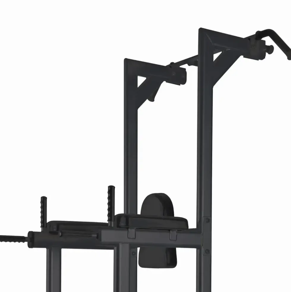 Toorx Professional WBX-B2800 Chin Ups, Dips & Leg Raise
