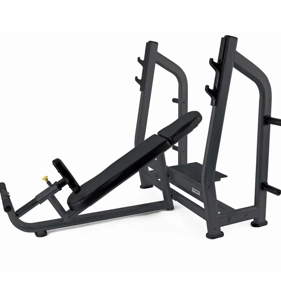 Toorx Professional WBX-B3800 Olympische Halterbank Incline