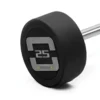 Toorx PU Straight Bar - Vaste Halterstang - 25 kg