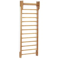 Toorx Single Wallbar - Wandrek