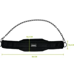 VirtuFit Nylon Dip Belt